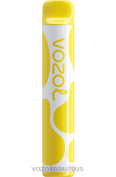 VOZOL JOYGO 600 BANANA ICE 6V8R376 - VOZOL vape price