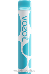 VOZOL JOYGO 600 BLUEBERRY SOUR RASPBERRY 6V8R377 - VOZOL vape review