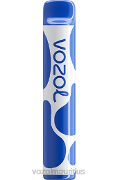 VOZOL JOYGO 600 BLUEBERRY STORM 6V8R390 - VOZOL vape sale