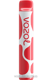 VOZOL JOYGO 600 CHERRY ICE 6V8R378 - VOZOL vape buy online