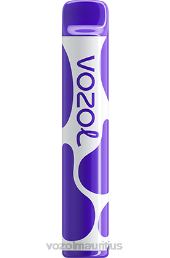 VOZOL JOYGO 600 GRAPE ICE 6V8R381 - VOZOL vape best flavor