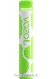 VOZOL JOYGO 600 KIWI PASSION FRUIT GUAVA 6V8R382 - VOZOL Port Louis