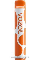 VOZOL JOYGO 600 MANGO ICE 6V8R386 - VOZOL vape price