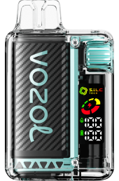 VOZOL VISTA 16000/20000 MIAMI MINT 6V8R9 - VOZOL vape amazon