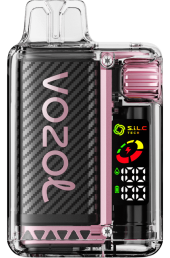 VOZOL VISTA 16000/20000 PEACH ICE 6V8R11 - VOZOL vape best flavor