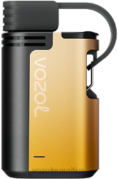 VOZOL GEAR 4000C/6000 KIWI PASSION FRUIT GUAVA 6V8R326 - VOZOL vape price