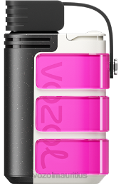 VOZOL GEAR 4000C/6000 ROSE PINK 6V8R320 - VOZOL vape sale