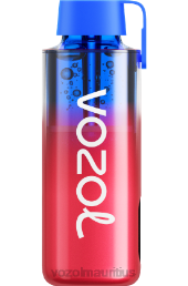 VOZOL NEON 10000 BLUEBERRY ICE 6V8R243 - VOZOL vape flavors