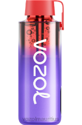 VOZOL NEON 10000 BLUE RAZZ ICE 6V8R231 - VOZOL vape best flavor