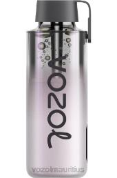 VOZOL NEON 10000 COOL MINT 6V8R233 - VOZOL vape flavors