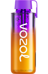 VOZOL NEON 10000 LEMON LIME 6V8R245 - VOZOL vape Mauritius