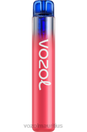 VOZOL NEON 800 BLUEBERRY ICE 6V8R283 - VOZOL vape flavors