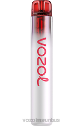 VOZOL NEON 800 WATERMELON BUBBLE GUM 6V8R259 - VOZOL vape amazon