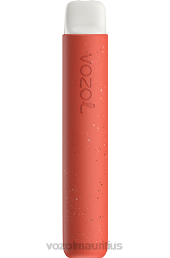 VOZOL STAR 600 CRANBERRY LEMON ICE 6V8R78 - VOZOL vape buy online