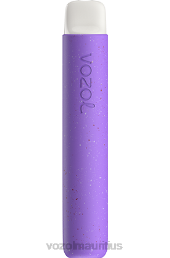 VOZOL STAR 600 GRAPE ICE 6V8R81 - VOZOL vape best flavor