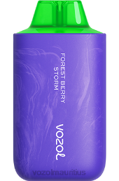 VOZOL STAR 6000/8000 V2 FOREST BERRY STORM 6V8R59 - VOZOL vape amazon