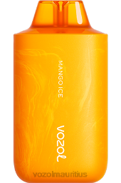 VOZOL STAR 6000/8000 V2 MANGO ICE 6V8R62 - VOZOL Port Louis