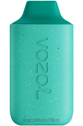 VOZOL STAR 6000 COOL MINT 6V8R110 - VOZOL vape sale