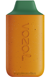 VOZOL STAR 6000 MANGO PEACH WATERMELON 6V8R120 - VOZOL vape sale