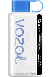 VOZOL STAR 9000/12000 BLUEBERRY STORM 6V8R22 - VOZOL Port Louis