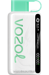 VOZOL STAR 9000/12000 COOL MINT 6V8R23 - VOZOL vape flavors