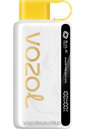 VOZOL STAR 9000/12000 KIWI PASSION FRUIT GUAVA 6V8R25 - VOZOL vape Mauritius